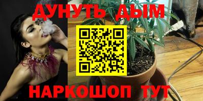 СК Краснодар