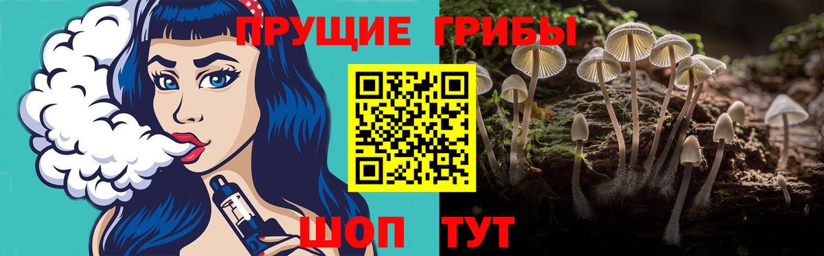 Валуйки  Псилоцибиновые грибы ЛСД  Вход с VPN  Галлюциногенные грибы мухоморы 